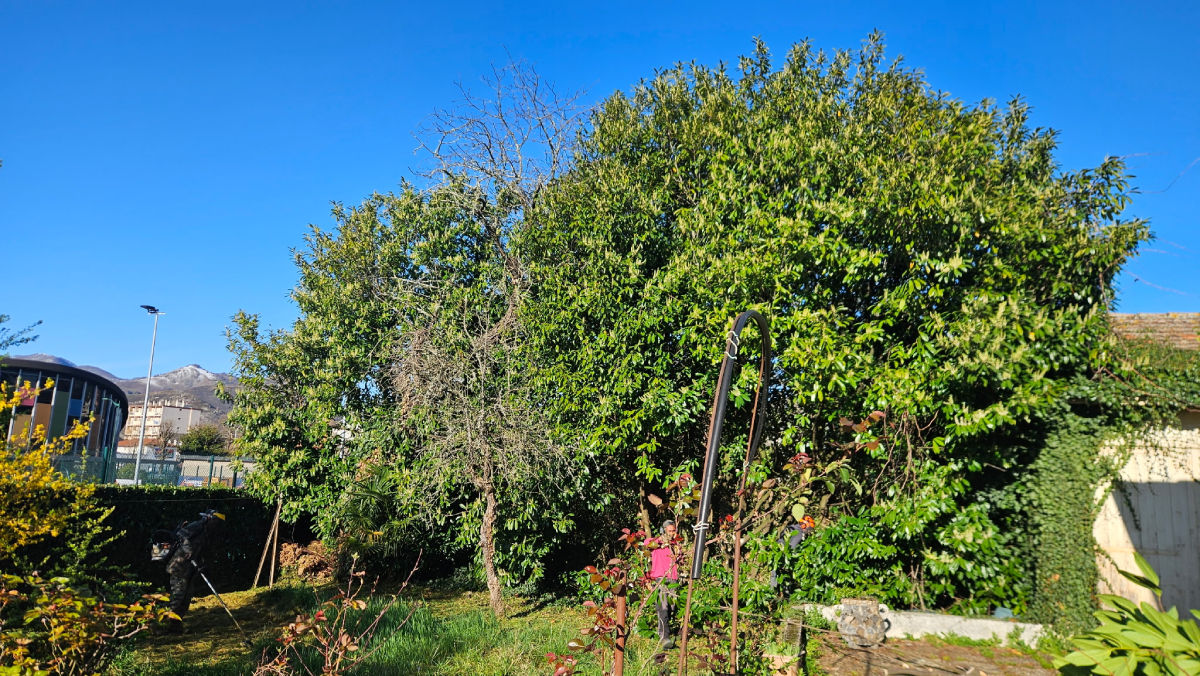 Avant : jardin à remettre en état à Lourdes